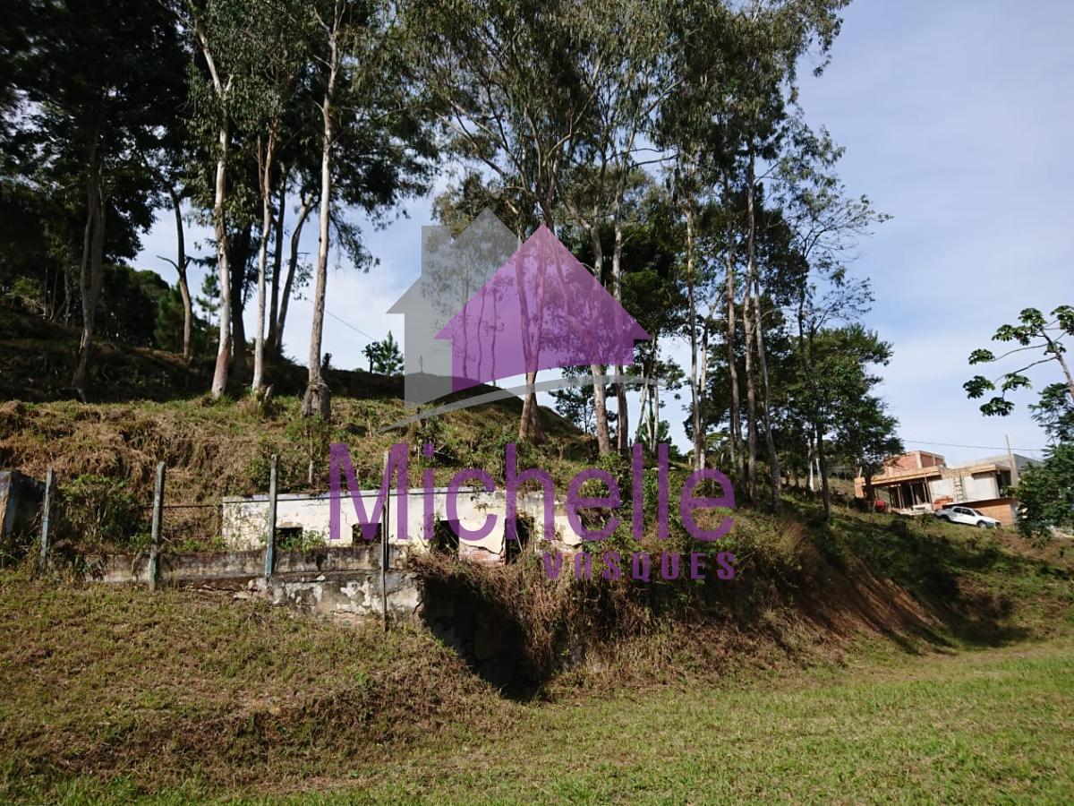 Terreno Residencial à venda em Vargem Grande, Teresópolis - RJ - Foto 4