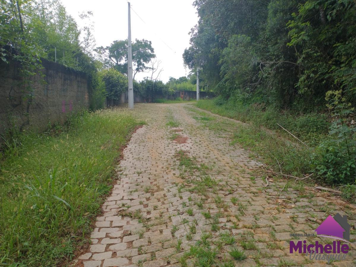 Terreno Residencial à venda em Jardim Europa, Teresópolis - RJ - Foto 3