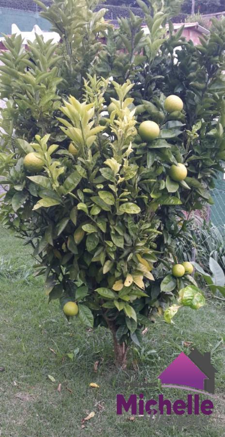 Outros à venda em Corta Vento, Teresópolis - RJ - Foto 27