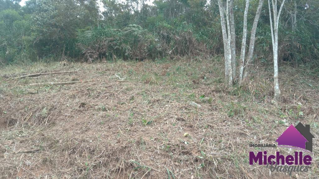 Terreno Residencial à venda em Barra do Imbuí, Teresópolis - RJ - Foto 1