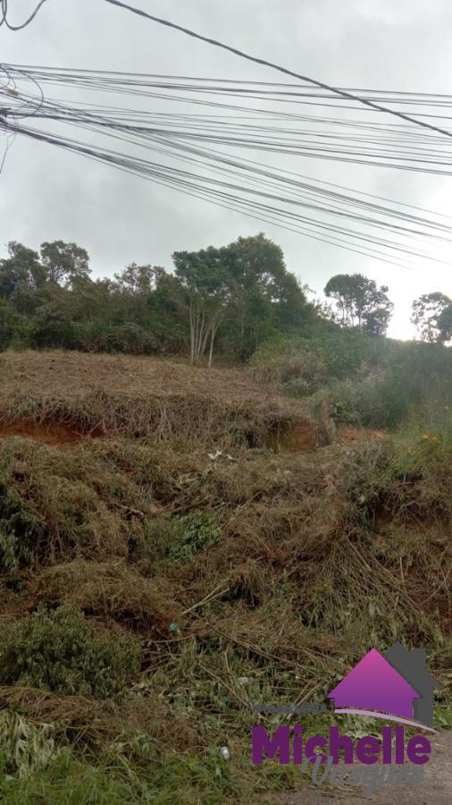 Terreno Residencial à venda em Barra do Imbuí, Teresópolis - RJ - Foto 3