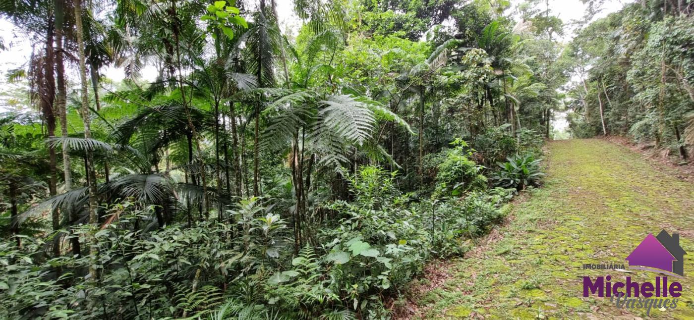 Terreno Residencial à venda em Prata, Teresópolis - RJ - Foto 1