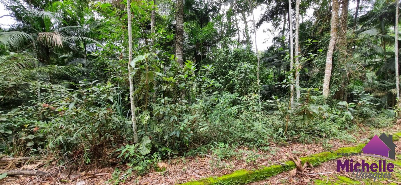 Terreno Residencial à venda em Prata, Teresópolis - RJ - Foto 2