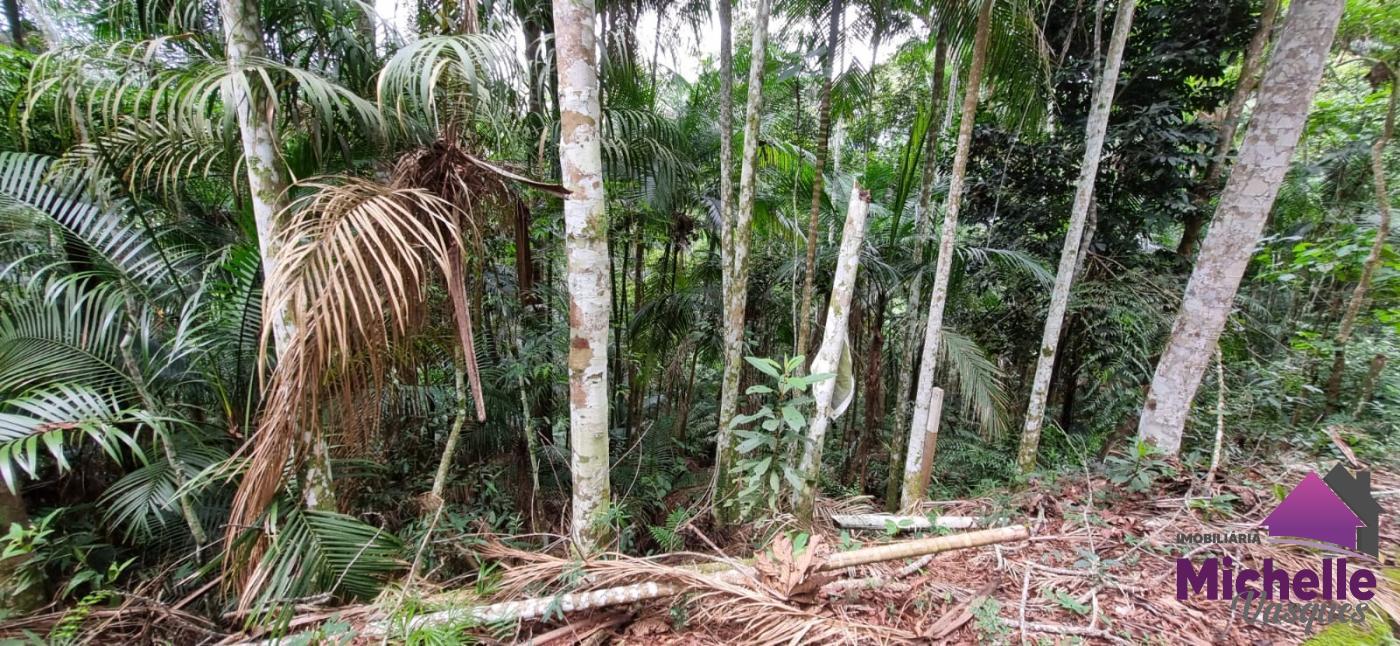 Terreno Residencial à venda em Prata, Teresópolis - RJ - Foto 3