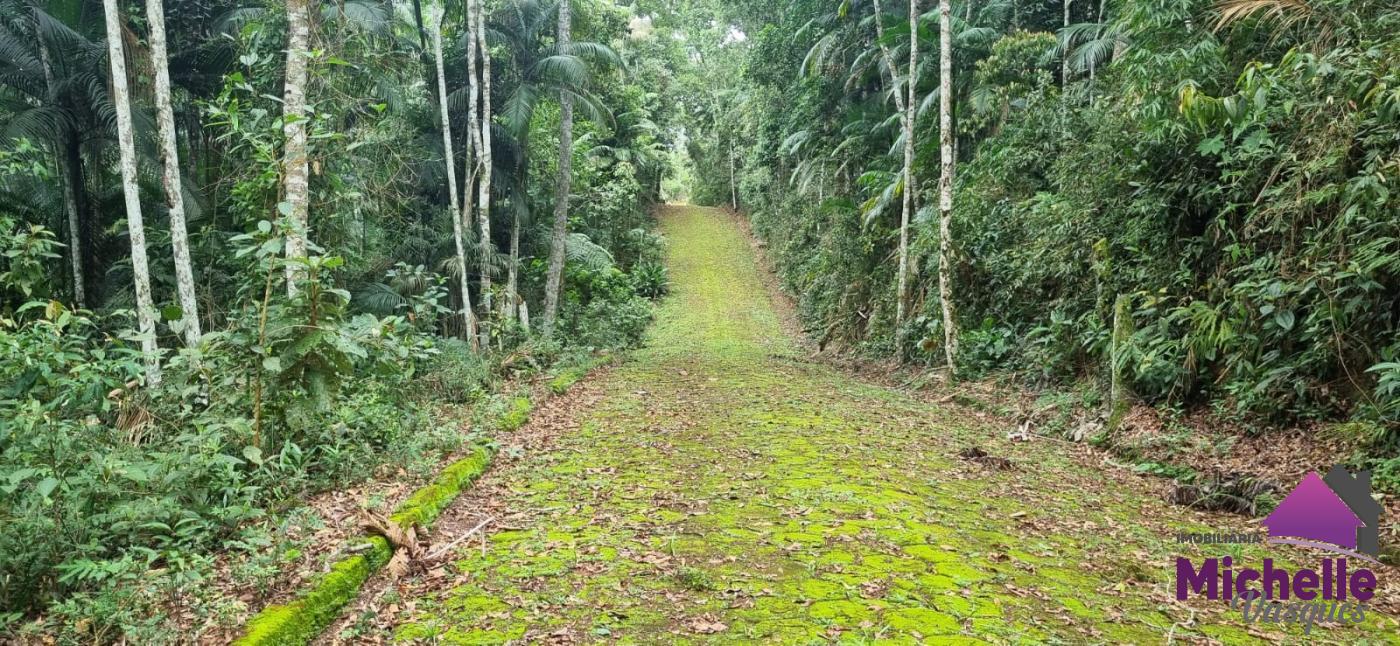Terreno Residencial à venda em Prata, Teresópolis - RJ - Foto 4
