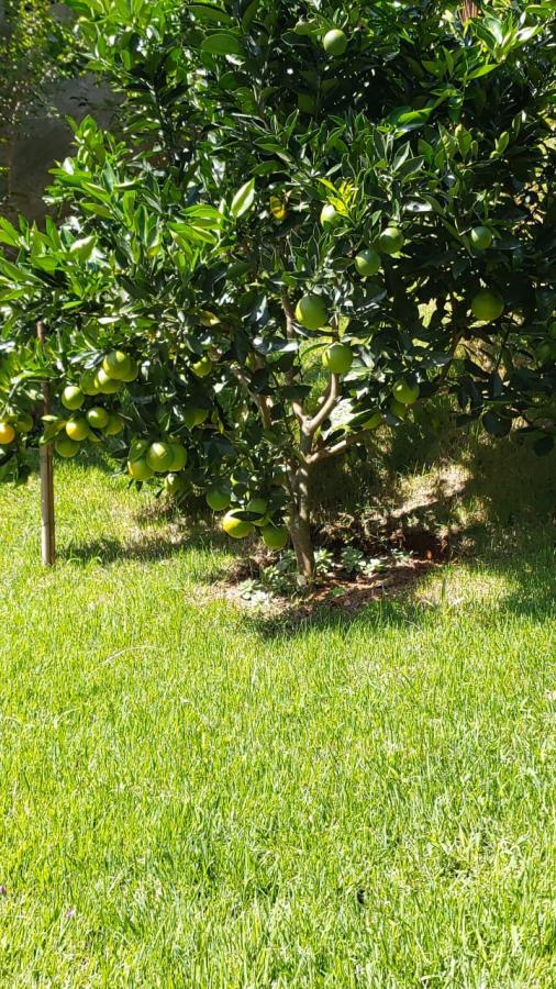 Casa à venda em Albuquerque, Teresópolis - RJ - Foto 15