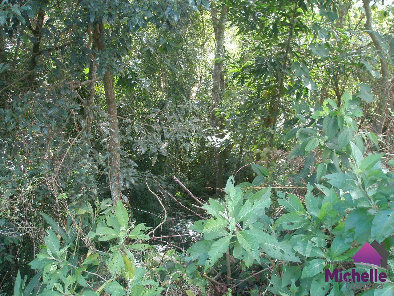 Terreno Residencial à venda em Bom Retiro, Teresópolis - RJ - Foto 6