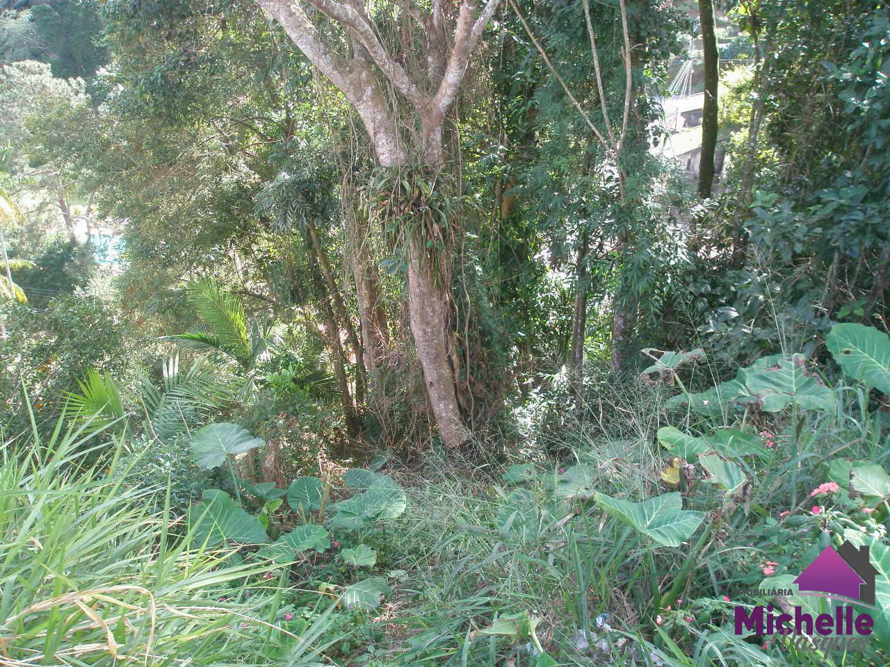 Terreno Residencial à venda em Bom Retiro, Teresópolis - RJ - Foto 5