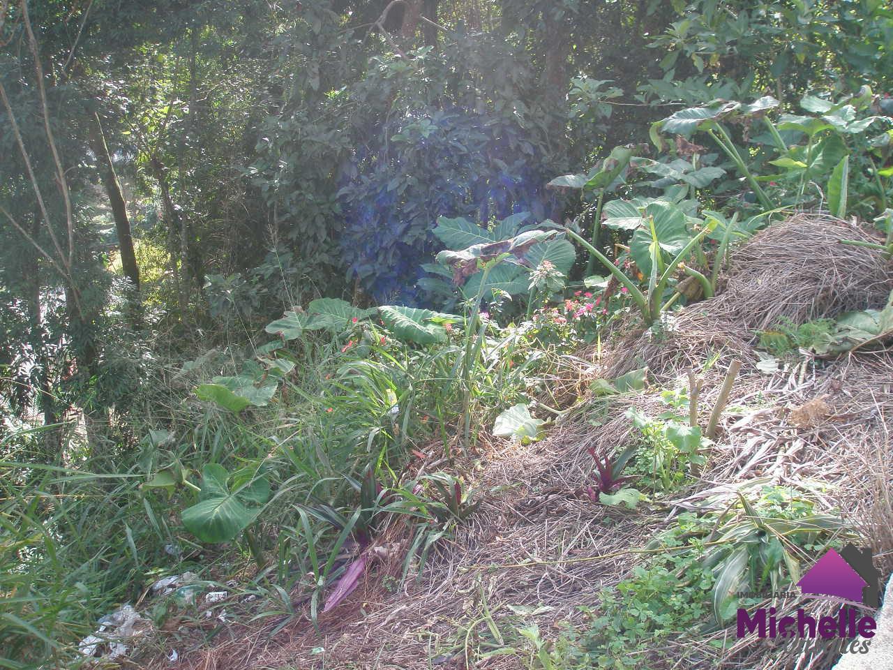 Terreno Residencial à venda em Bom Retiro, Teresópolis - RJ - Foto 1