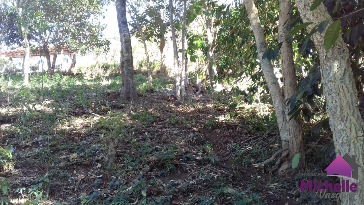 Terreno Residencial à venda em Caleme, Teresópolis - RJ - Foto 1