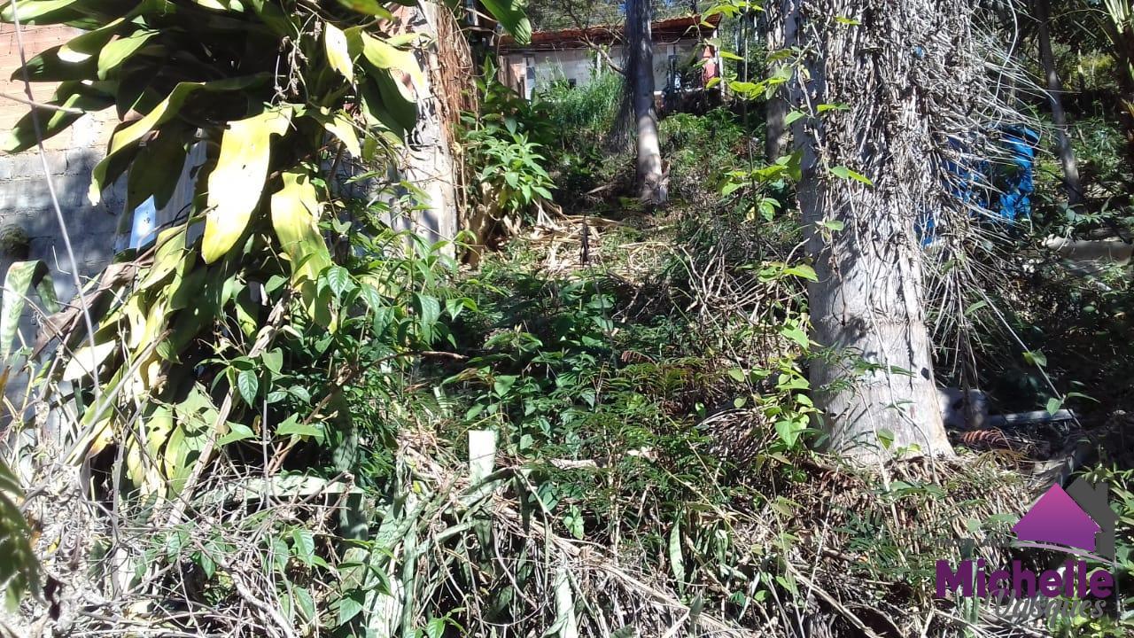 Terreno Residencial à venda em Caleme, Teresópolis - RJ - Foto 5