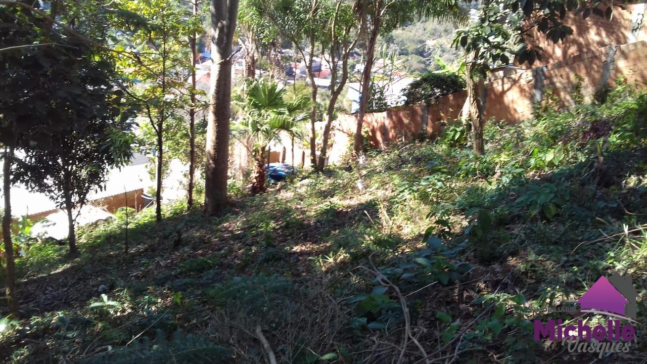 Terreno Residencial à venda em Caleme, Teresópolis - RJ - Foto 2