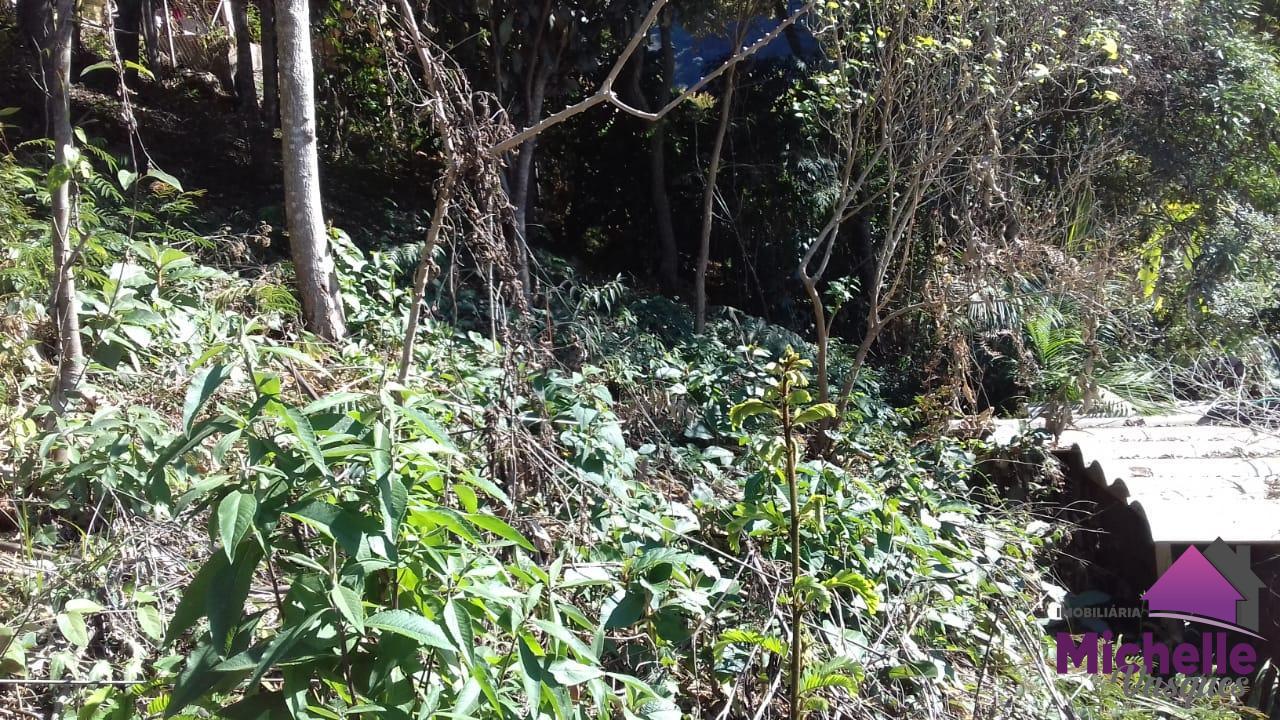 Terreno Residencial à venda em Caleme, Teresópolis - RJ - Foto 8