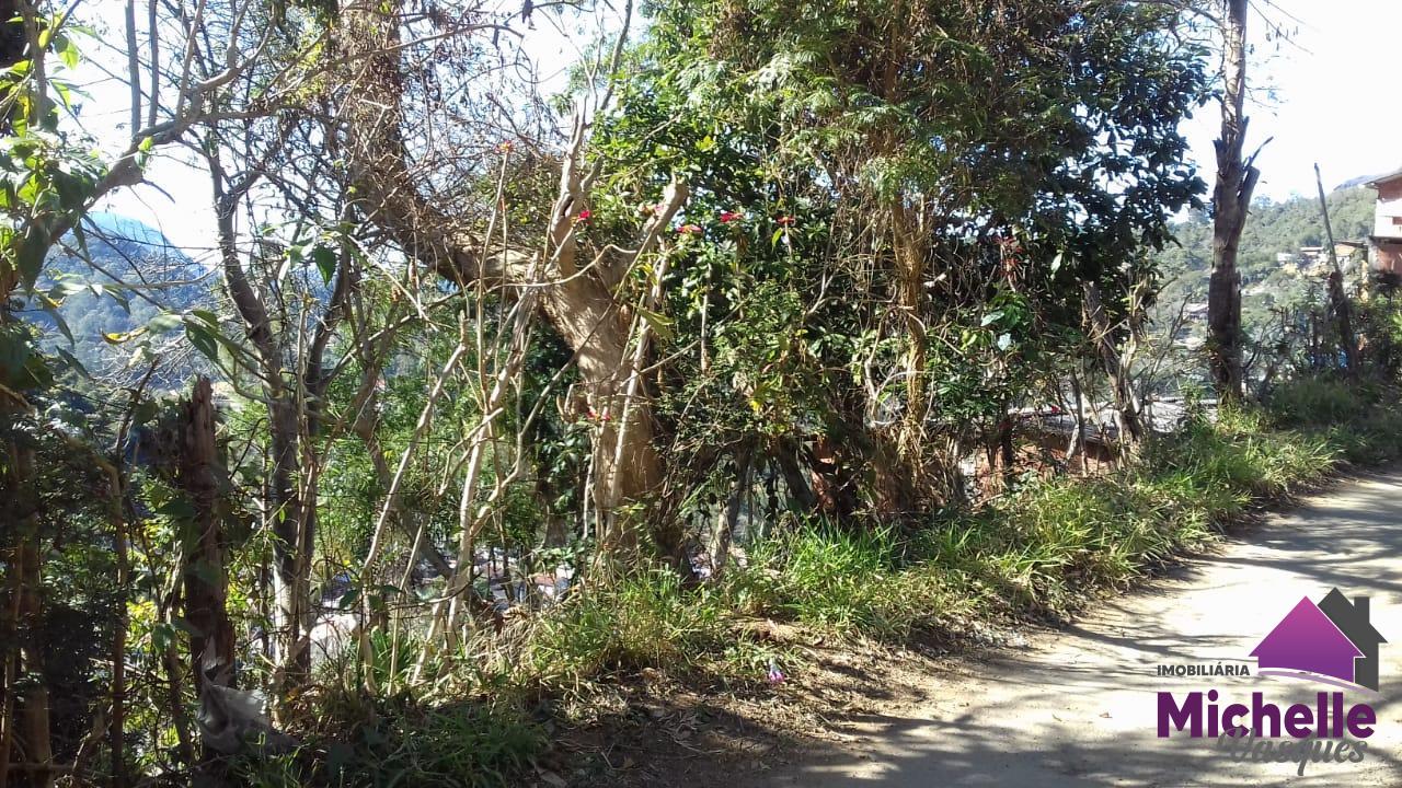 Terreno Residencial à venda em Caleme, Teresópolis - RJ - Foto 7