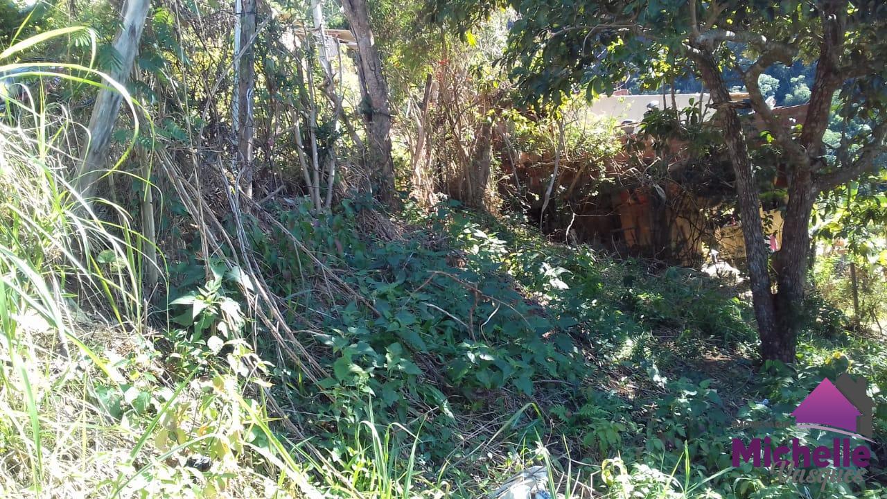 Terreno Residencial à venda em Caleme, Teresópolis - RJ - Foto 6