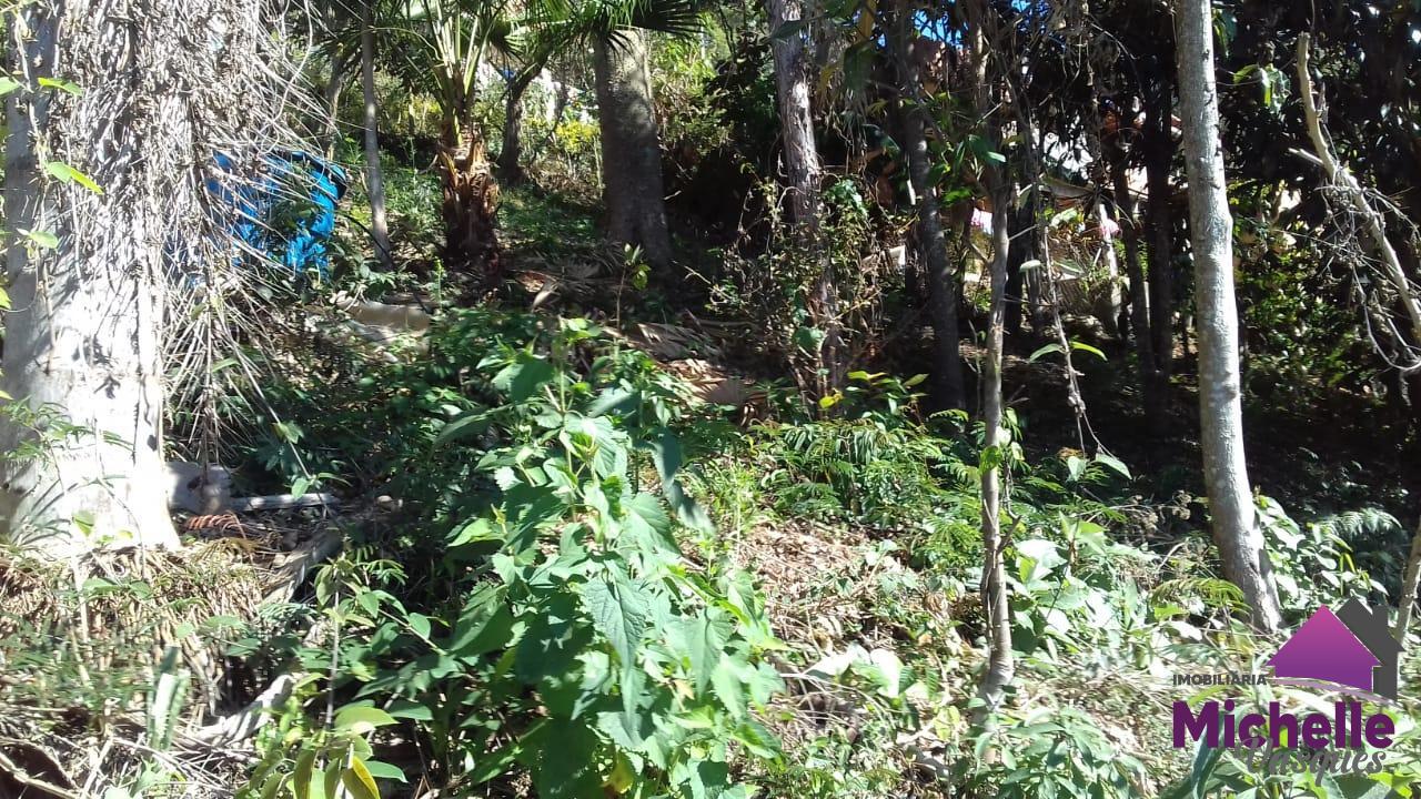 Terreno Residencial à venda em Caleme, Teresópolis - RJ - Foto 10