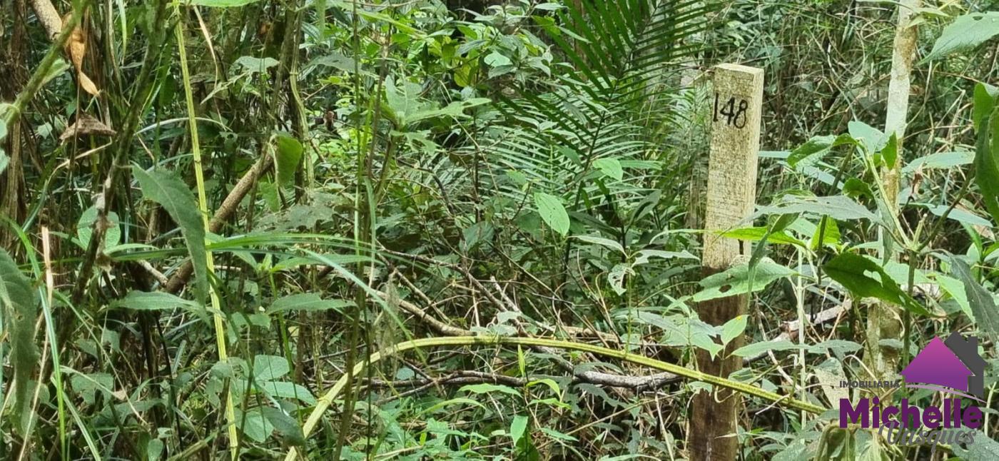 Terreno Residencial à venda em Prata, Teresópolis - RJ - Foto 2