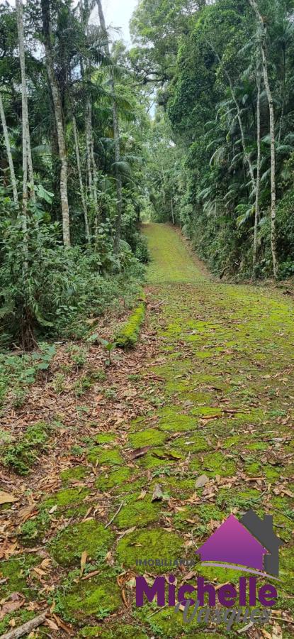 Terreno Residencial à venda em Prata, Teresópolis - RJ - Foto 4