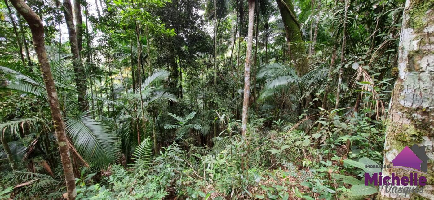 Terreno Residencial à venda em Prata, Teresópolis - RJ - Foto 3